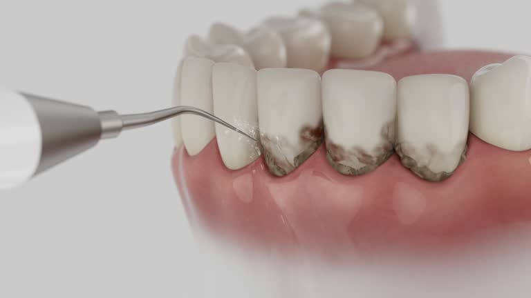Reliable Dental contractor in Dillon, MT by Dentist Open Now